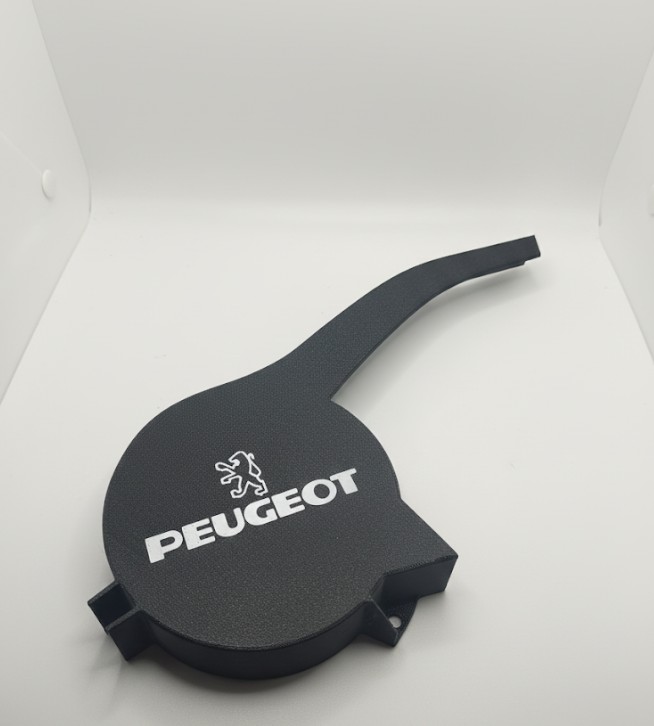 Cache Peugeot 102