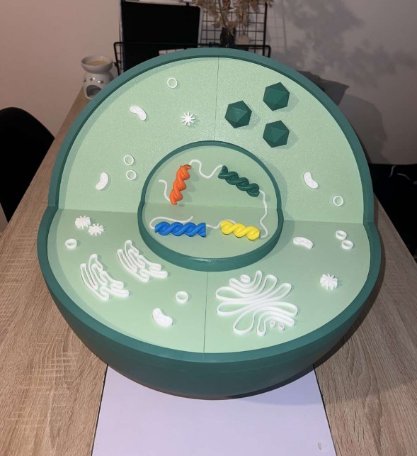 Maquette cellule — vue de face